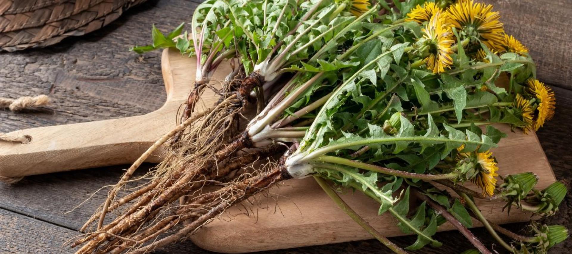 Lenteschoonmaak en de paardenbloem