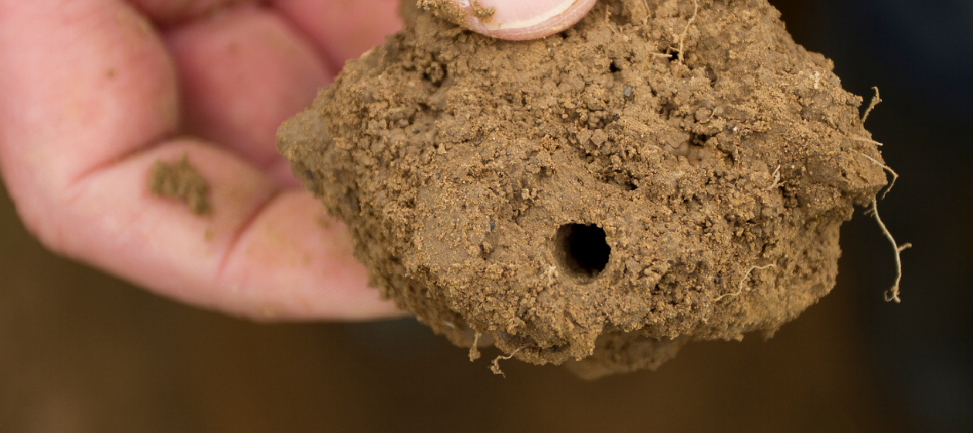 Waarom ik kies voor Biologisch Dynamisch