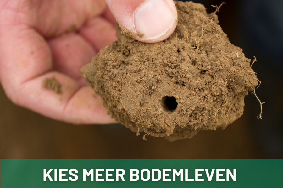 Waarom ik kies voor Biologisch Dynamisch