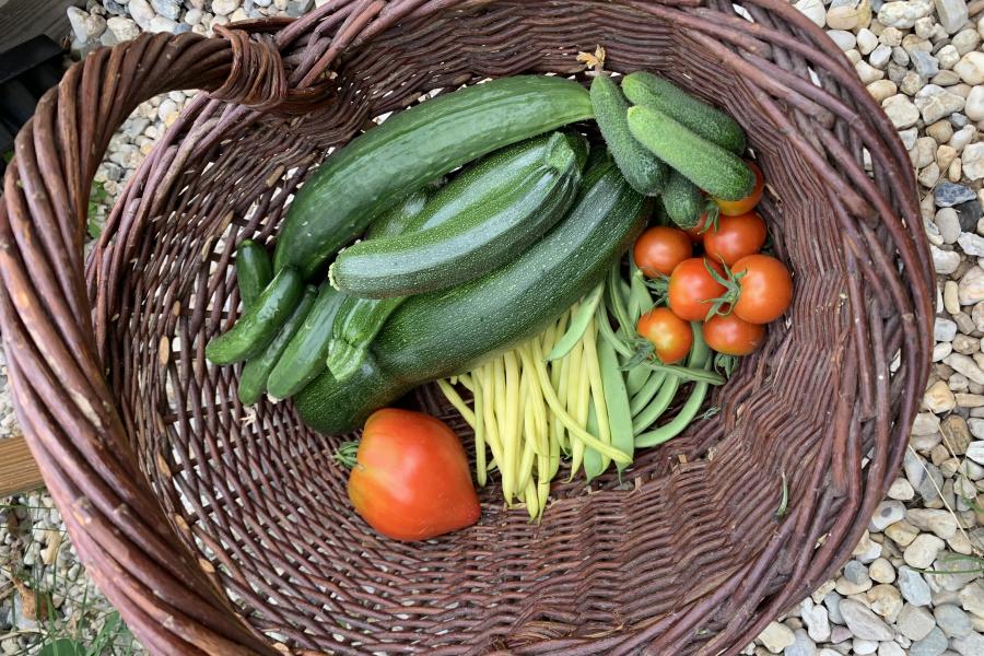 Marike's proeftuin juli